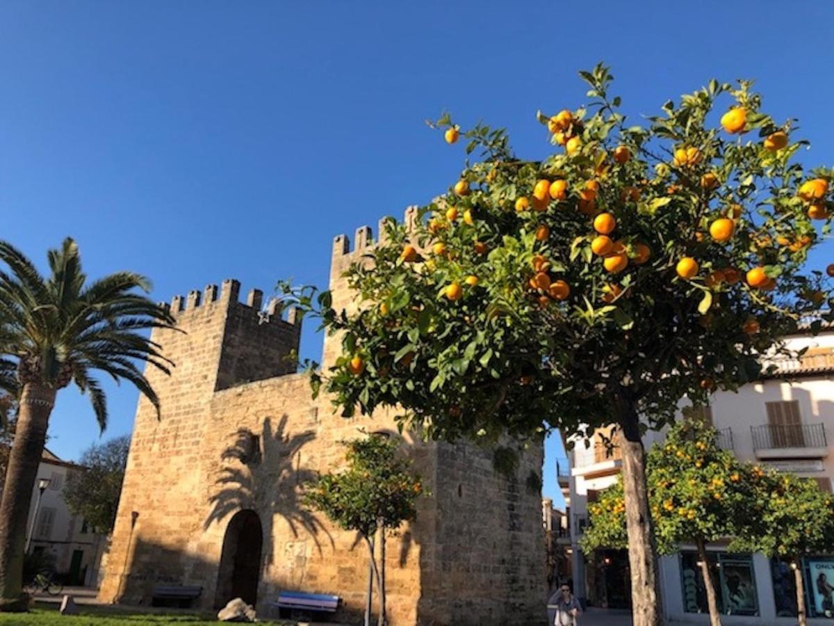 Casa Sa Pedra, En El Centro Historico De Alcudia Villa Ngoại thất bức ảnh
